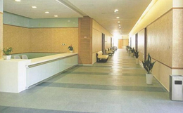 山東塑膠地板 盤點山東塑膠地板制作工藝_塑膠地板節(jié)能性如何